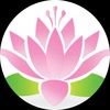 the_pink_lotus